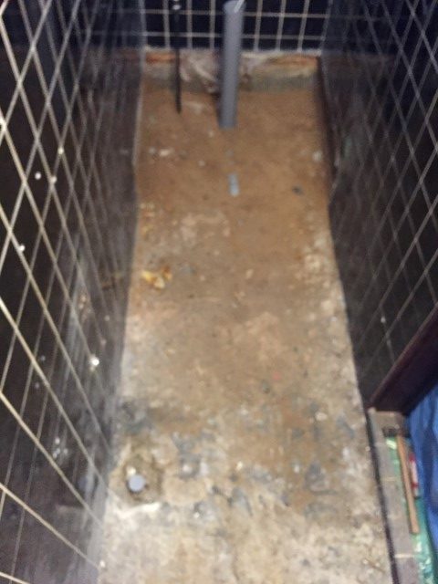 トイレ改修（和→洋）